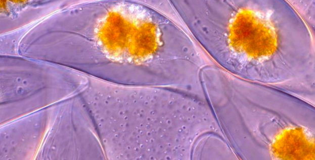 Screenshot 2020-08-13 at 12.38.50